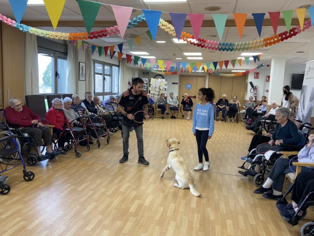 terapia con animales para personas mayores