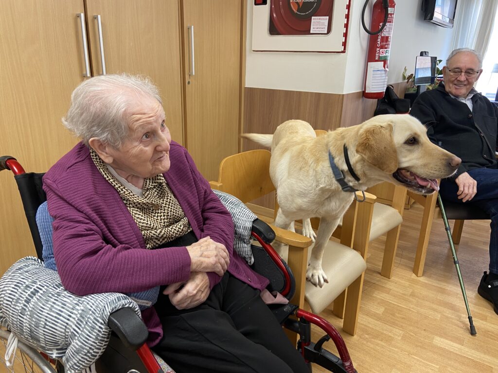 terapia con perros para personas mayores